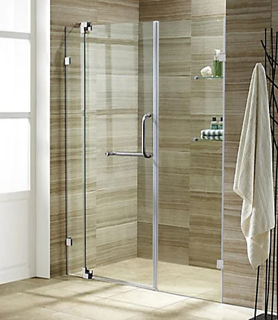 Shower Door